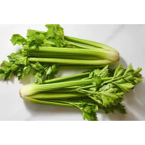 Celery