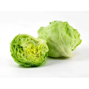 Iceberg lettuce