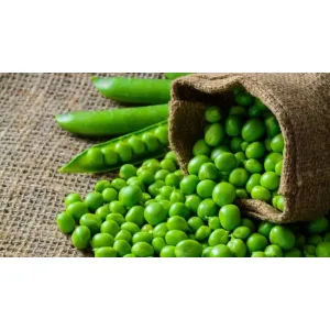 Peas Green