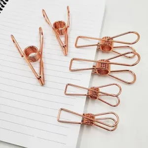 Stainless Steel Cloth Hanging Clips(10 pc set)