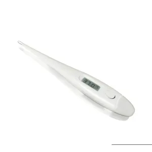 Digital Thermometer