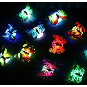3D Butterfly 🦋