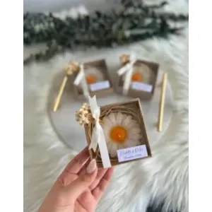 Daisy flower Pipecleaner 