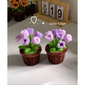 Tulip flowers