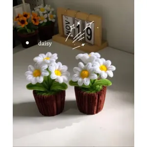 Daisy flowers 