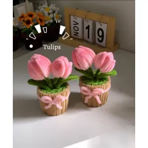 Tulip 