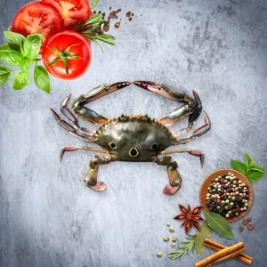 Blue Crab / நீல நண்டு