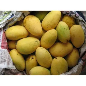 बादामी आम ( Badami Mango)