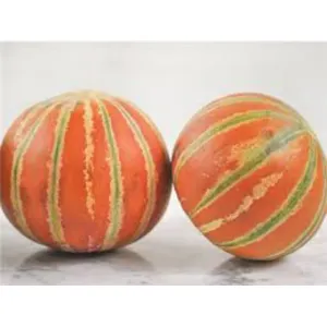 खरबूजा (Muskmelon)