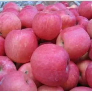 सेब   (Apple A-grade)