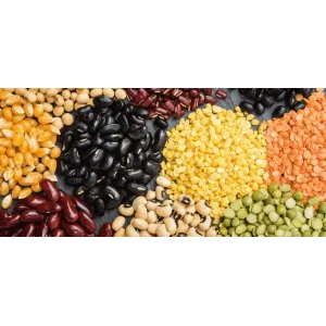 FOOD GRAINS. OIL @ MASALA /ಬೇಳೆಕಾಳು. ಎಣ್ಣೆ.@ ಮಸಾಲ 