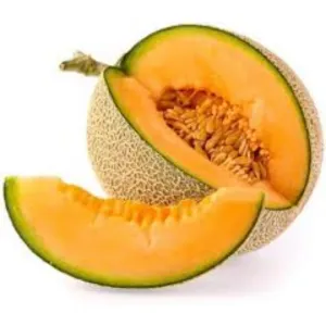 Musk Melon medium 