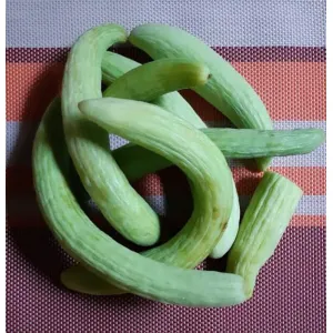 Country Cucumber 