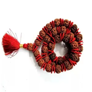 Natural 5 Mukhi Rudraksh Kantha Mala