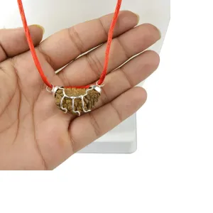 Original Lab Certified One Face Rudraksha Natural Ek Mukhi Rudraksha with Lab Certificate 