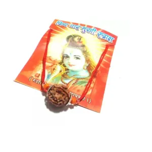 Original Natural 4 Mukhi Rudraksha Silver Pendant Locket for Men and women