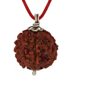 Original Natural 5 Mukhi Rudraksha Silver Pendant Locket for Men and women