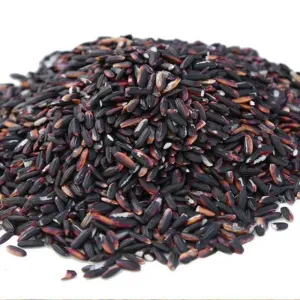 Organic black rice