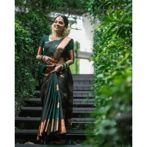 Organic Banarasi Sarees 