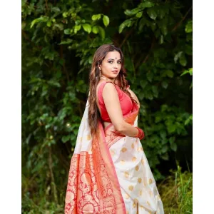 BEAUTIFUL RICH PALLU & JACQUARD WORK ON ALL OVER THE SAREE