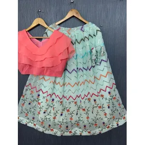 Georgette With Designer Embroidery