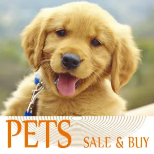 Pets Price list (Rate Chart) With Demo Pictures Of Pets