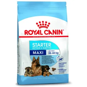 Royal Canin Maxi Starter-15kg
