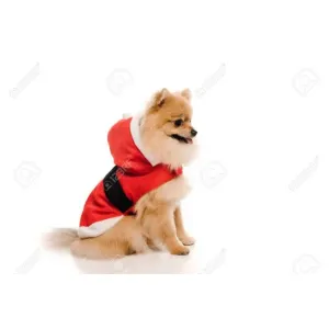MyPet Dog Dress -Medium(18no) Shirt/Clothes/Gift  for Medium & Small Size Breed