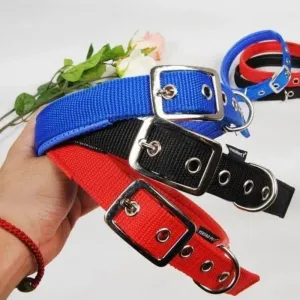 Dog Neck Belt-(Large Size)- Blue Colour