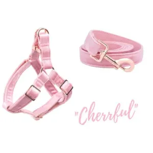 MyPet PUPPY Harness & Leash Set(COMBO)- PINK &GREEN
