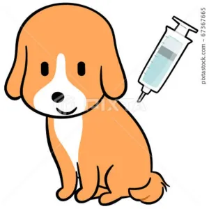 Vaccination at Your Door Step