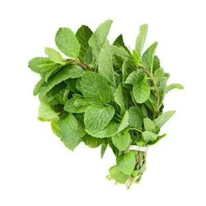 Mint leaves 100g