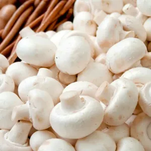 Mushroom Button 200g